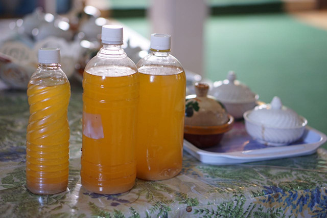 摩洛哥三宝——阿甘、椰枣和仙人掌