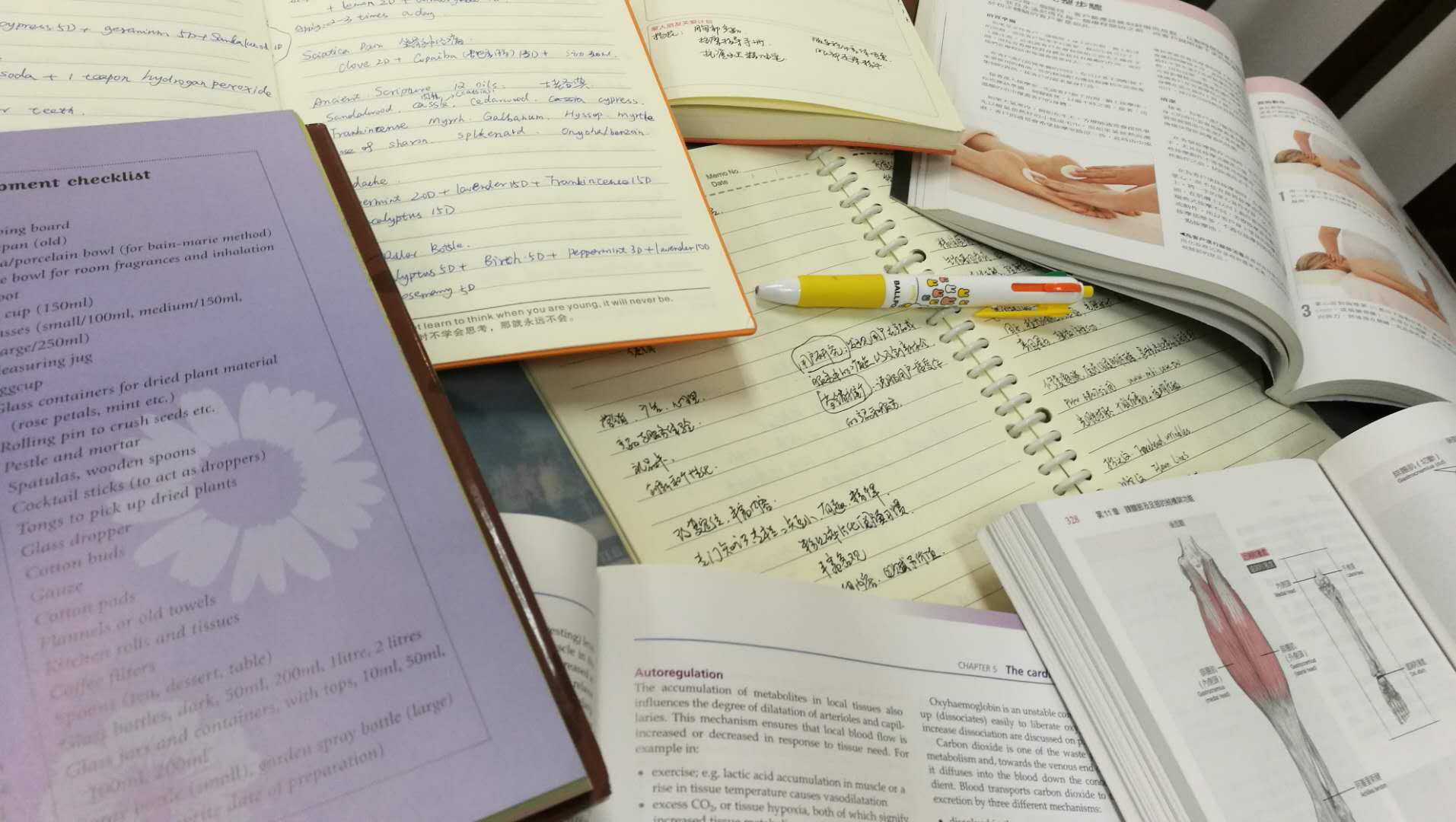 IFA国际芳香疗法认证考试笔记